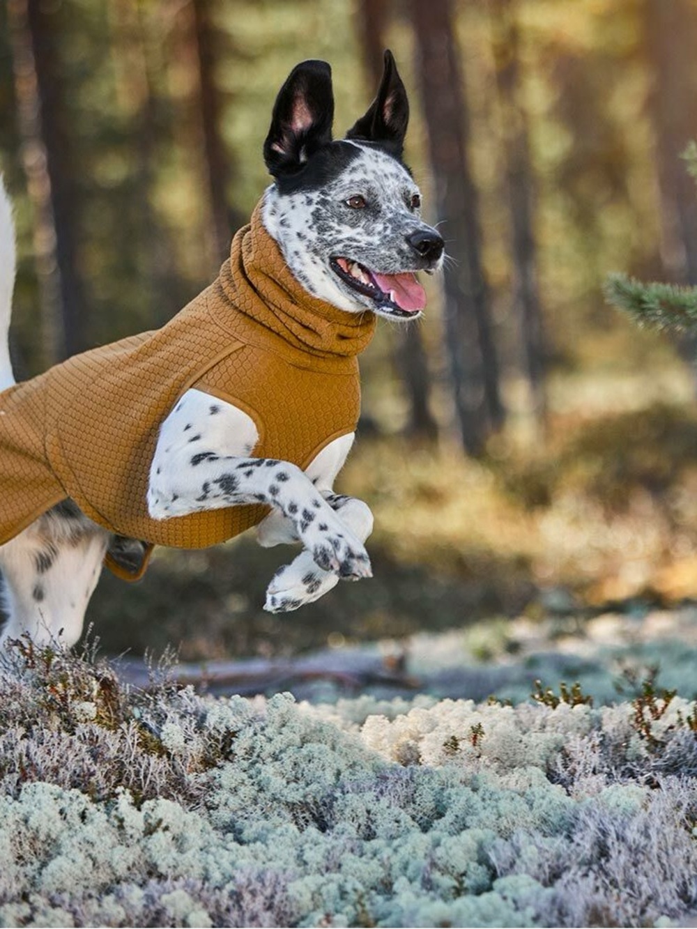 NWT Dog jacket - Hurtta Warming Midlayer Sweater Brown